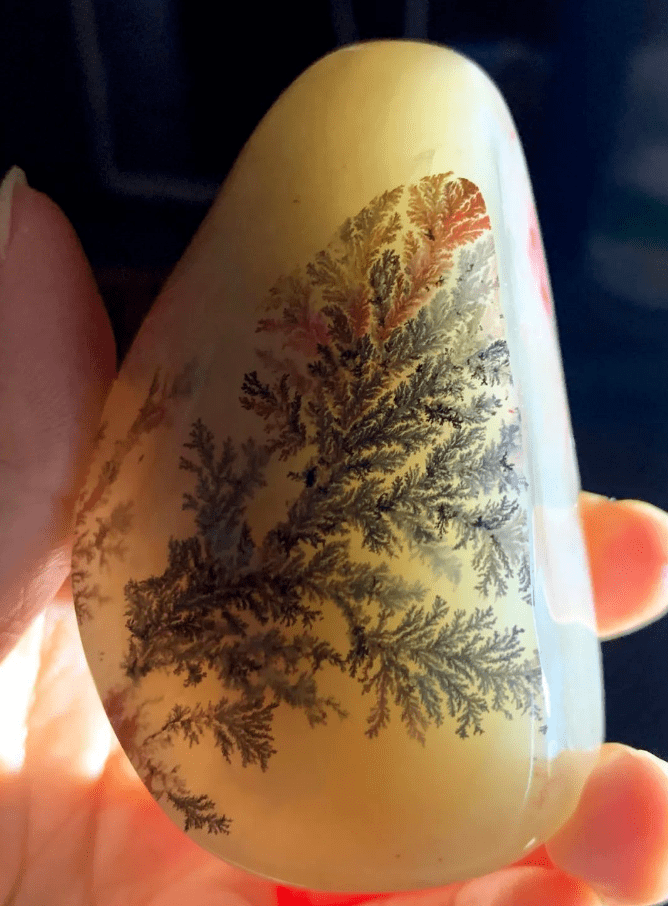 海洋玉髓！國石里竟然長了水草，猜猜價值幾何？