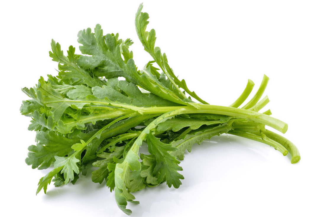 茼蒿采摘有讲究跟农村大姐学习正确的采摘方法茼蒿越长越旺