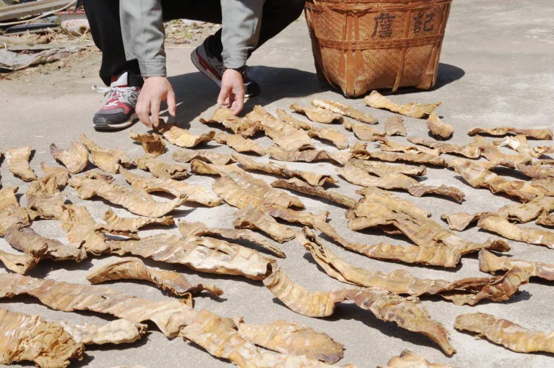 非遗知多少闽北笋榨笋干传统制作技艺第18期