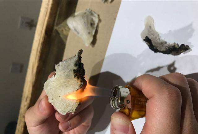 辨别真假燕窝原来那么简单从此假燕窝无处遁形