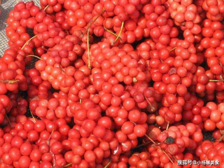 常用此物泡水喝,告别失眠,远离黑眼圈_五味子