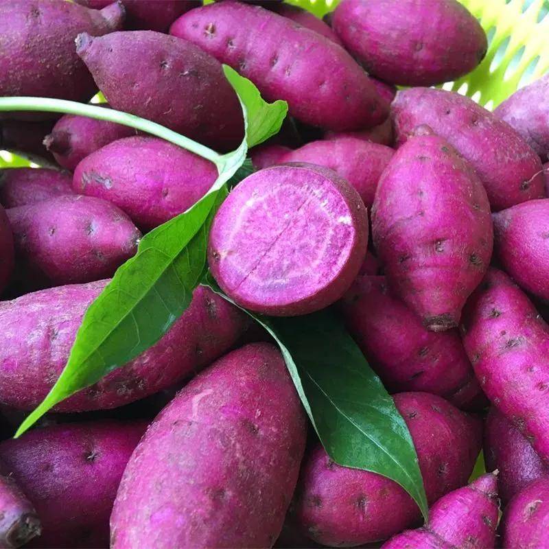 紫薯品种图片大全图解图片