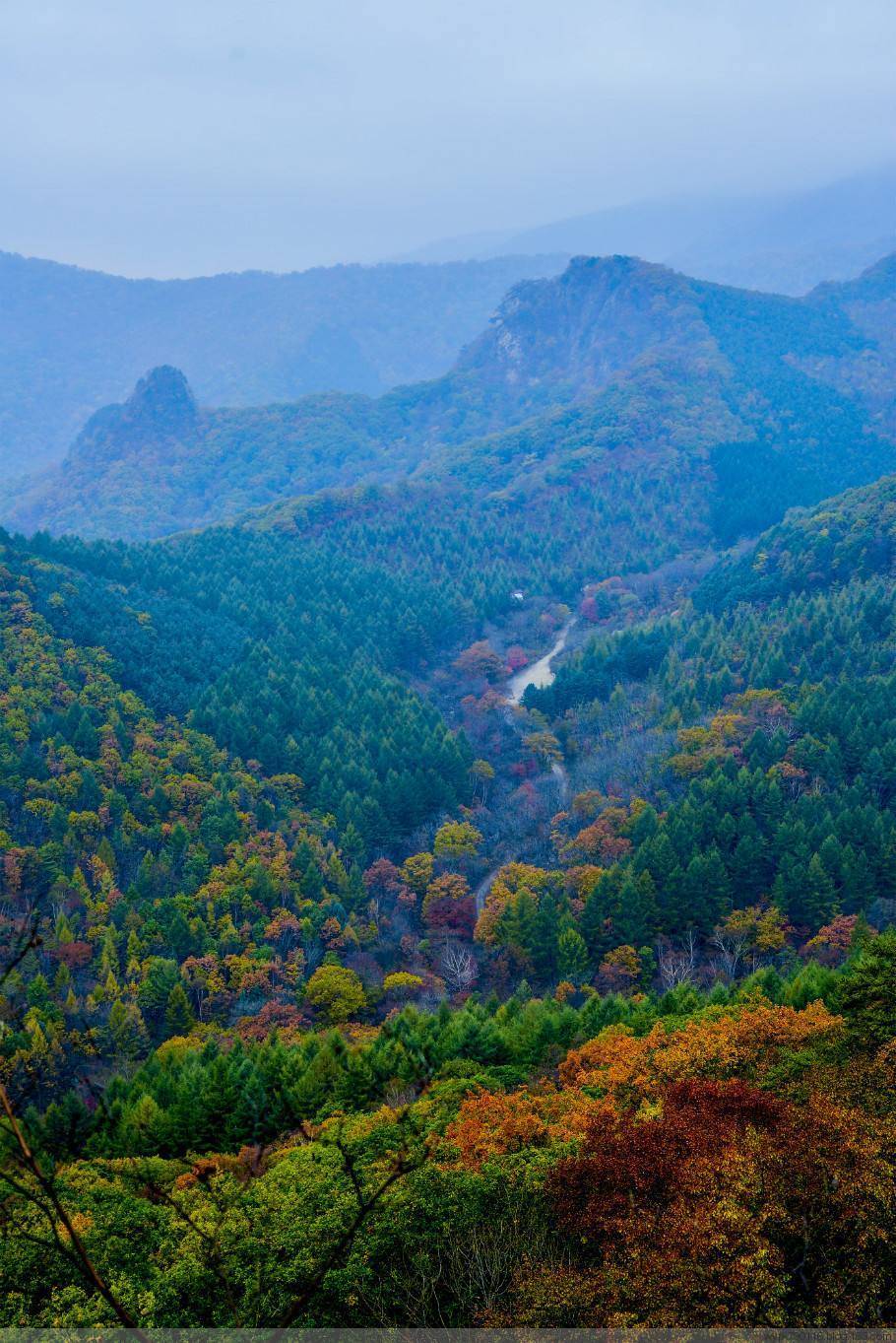 大美秦岭子午古道四亩地物华天宝天华山