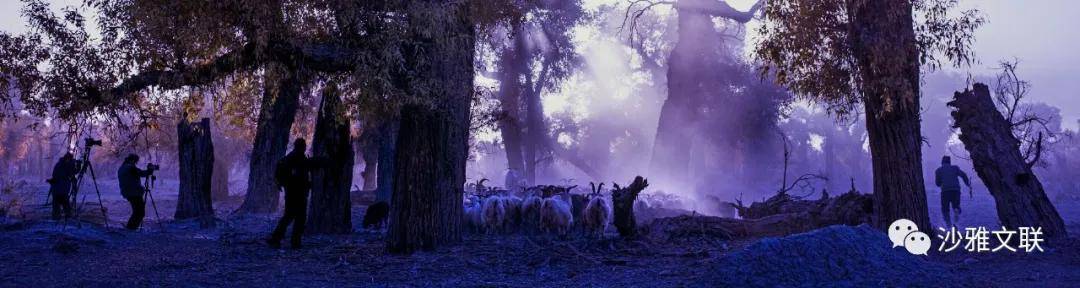 活动|沙雅十六万元摄影大奖等您拿！