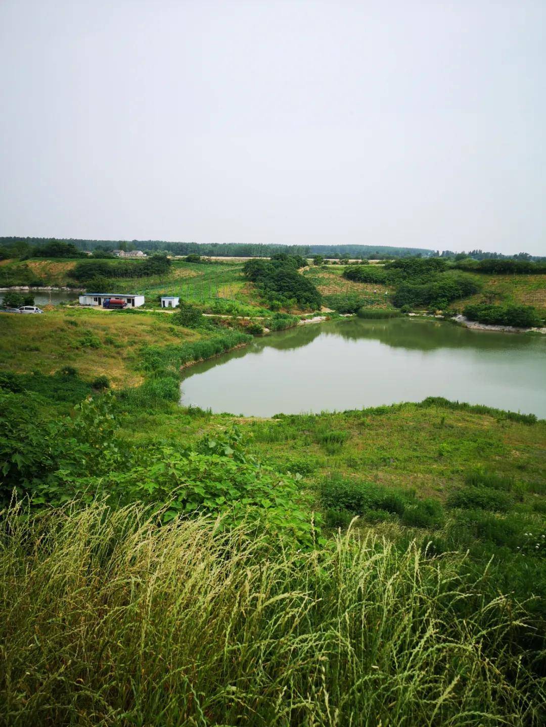 蜀山小岭南饱览乡村风景