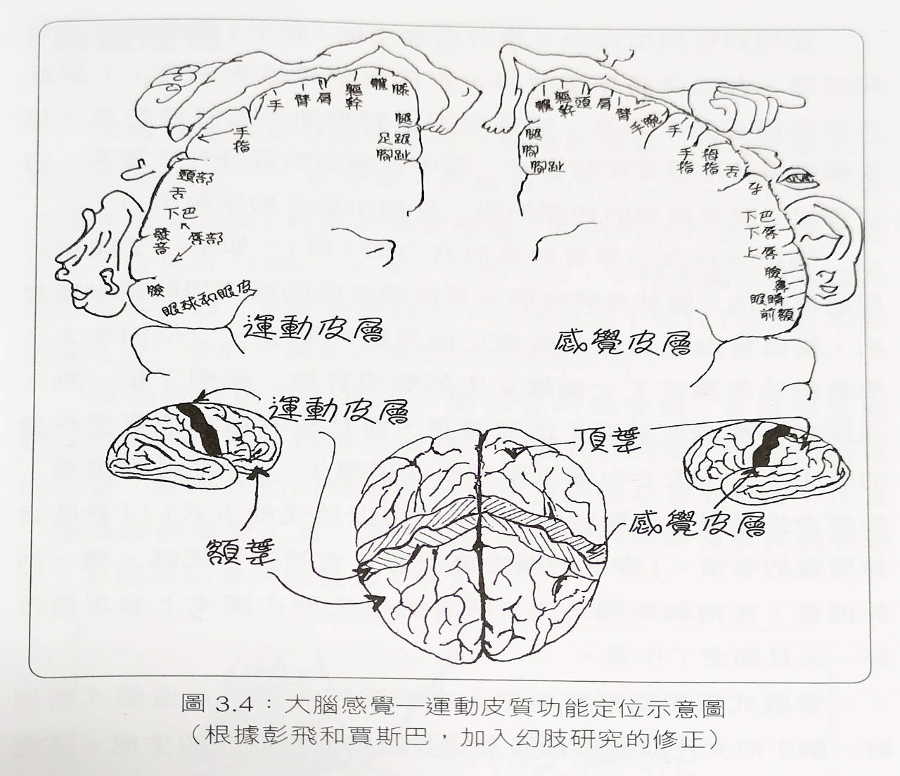 手机搜狐网