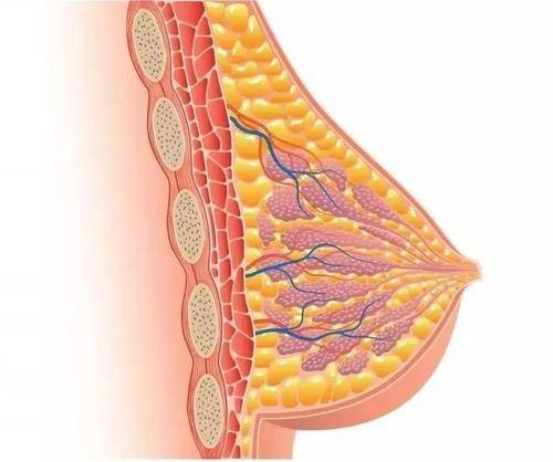 粉红丝带月科普专栏听说内分泌治疗要持续十年是真的嘛