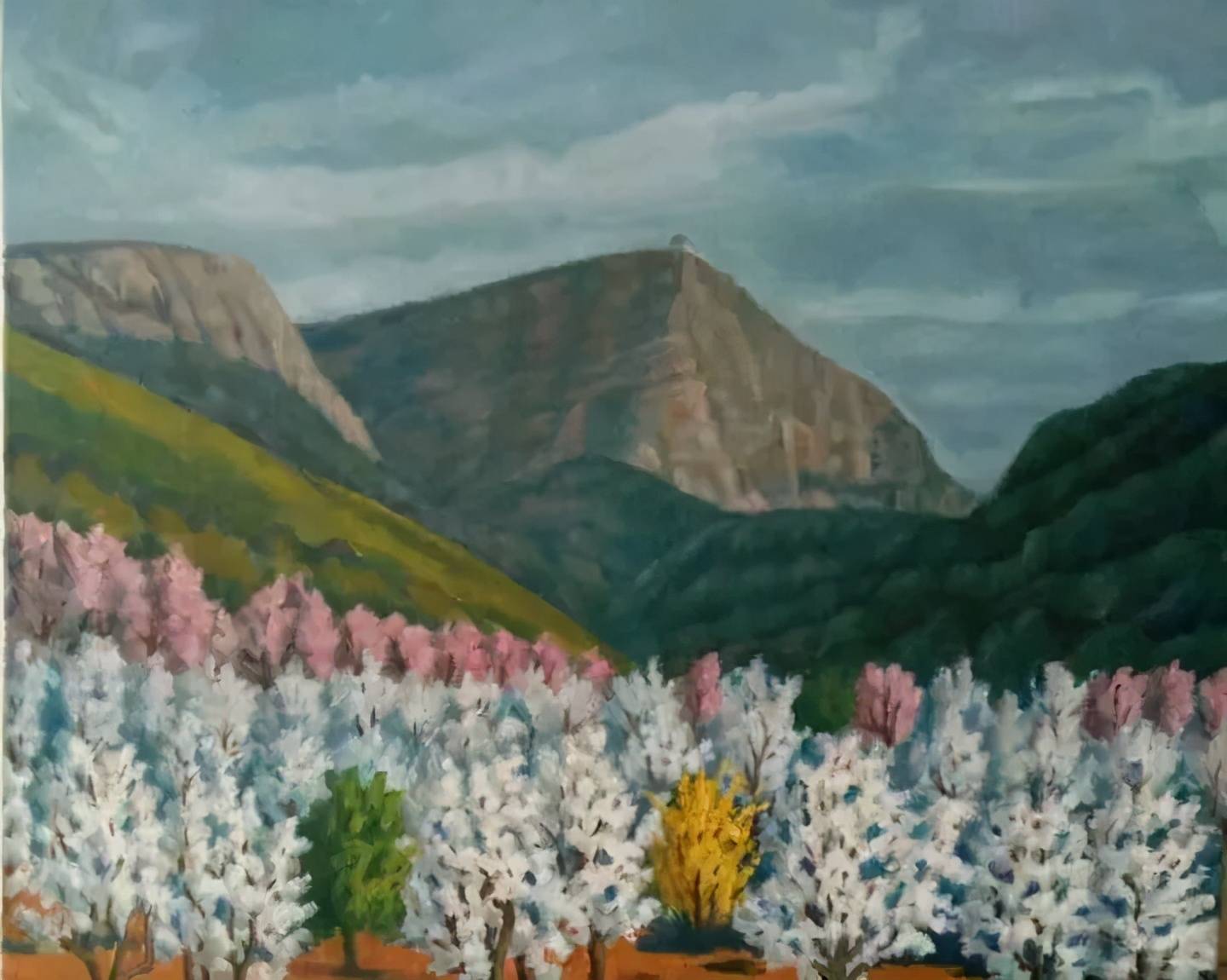 金州画家王斌作品欣赏