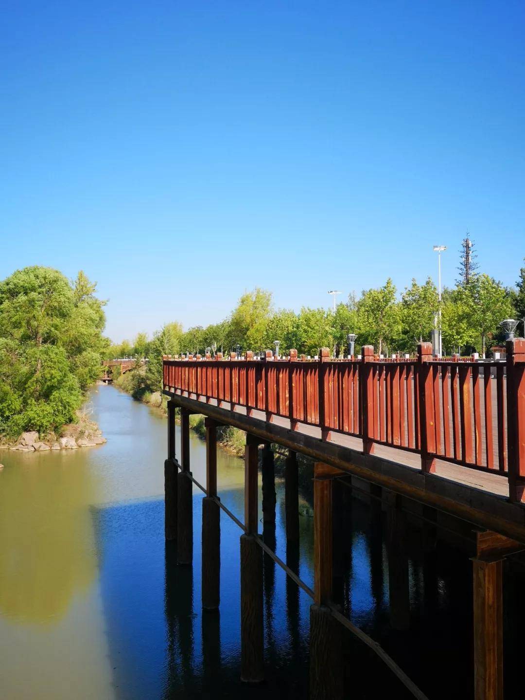 水韵伊宁伊犁河北岸公园