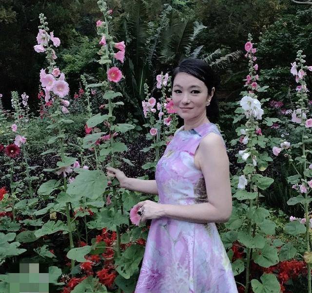 最经典版怜星宫主,如今成功转型做设计师,年过半百宛如少女_张瑞竹