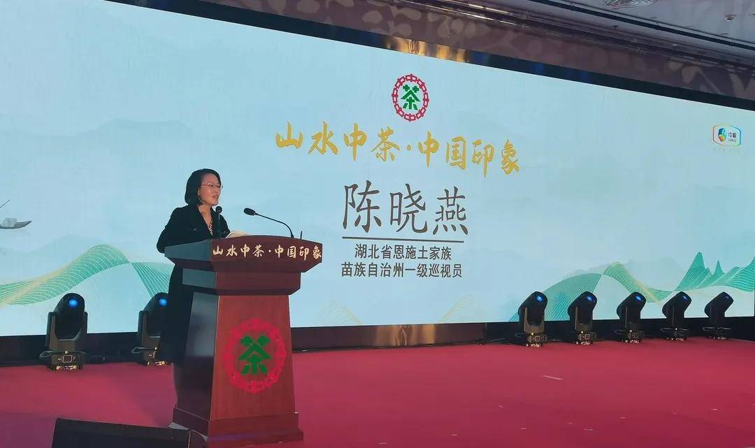 恩施州一级巡视员陈晓燕作为恩施产区政府代表在发布会上致辞.