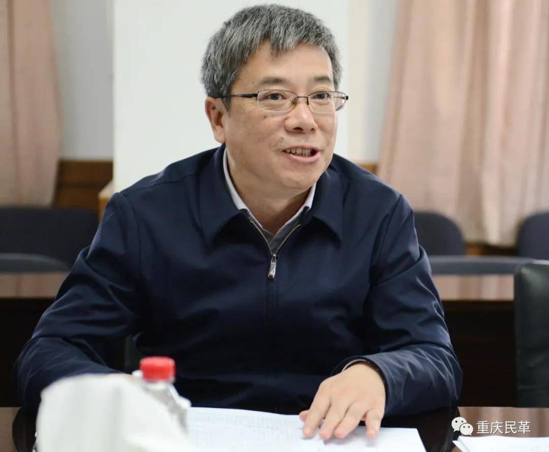 10月22日,民革中央组织部部长叶赞平率调研组一行在重庆开展民革咨眄