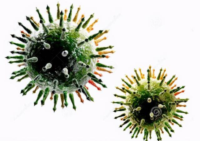 养猪预防猪病毒用什么药养猪人都需要知道快收藏