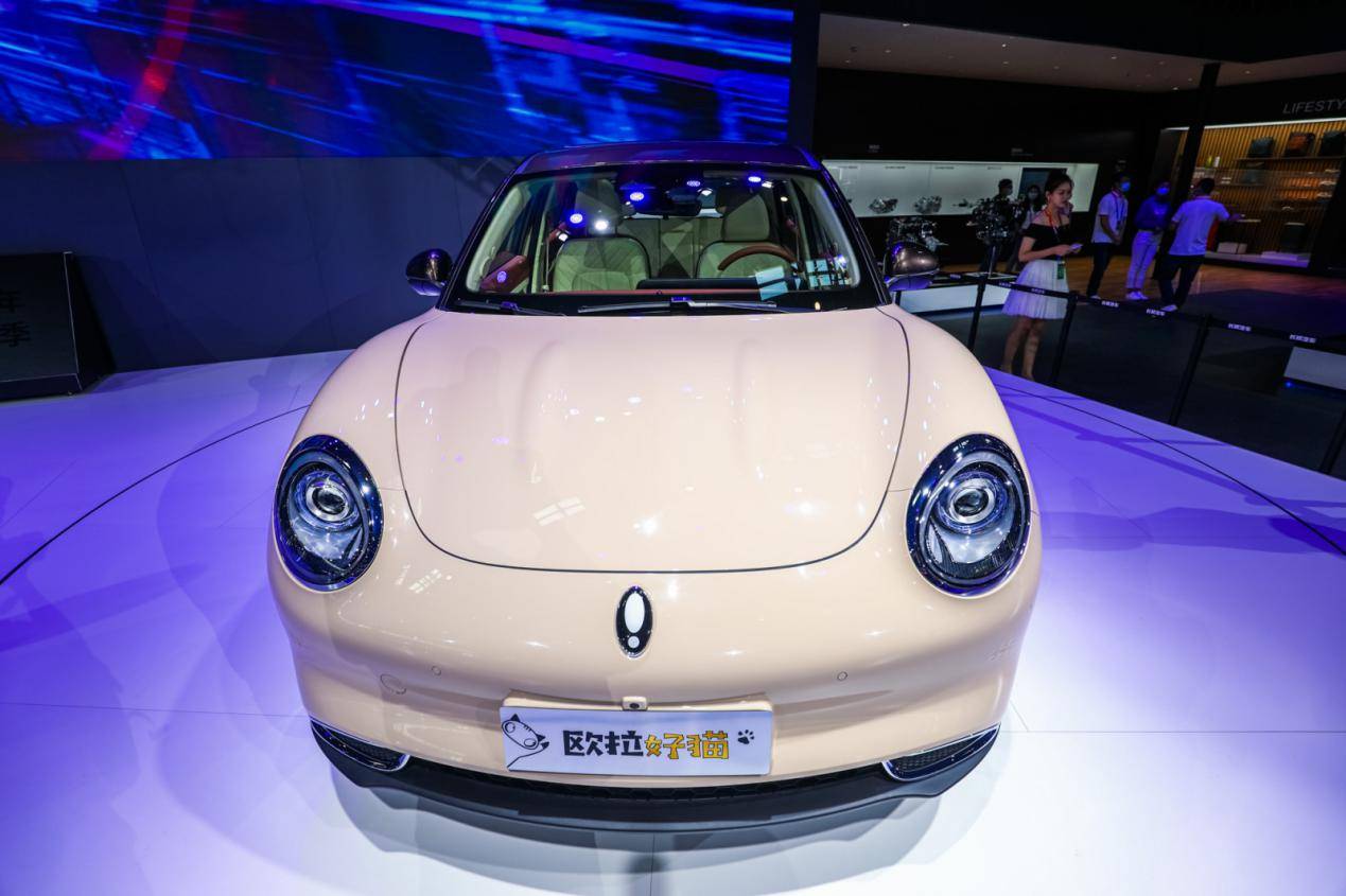 杜沈cp再次合体长城欧拉好猫成圈粉利器