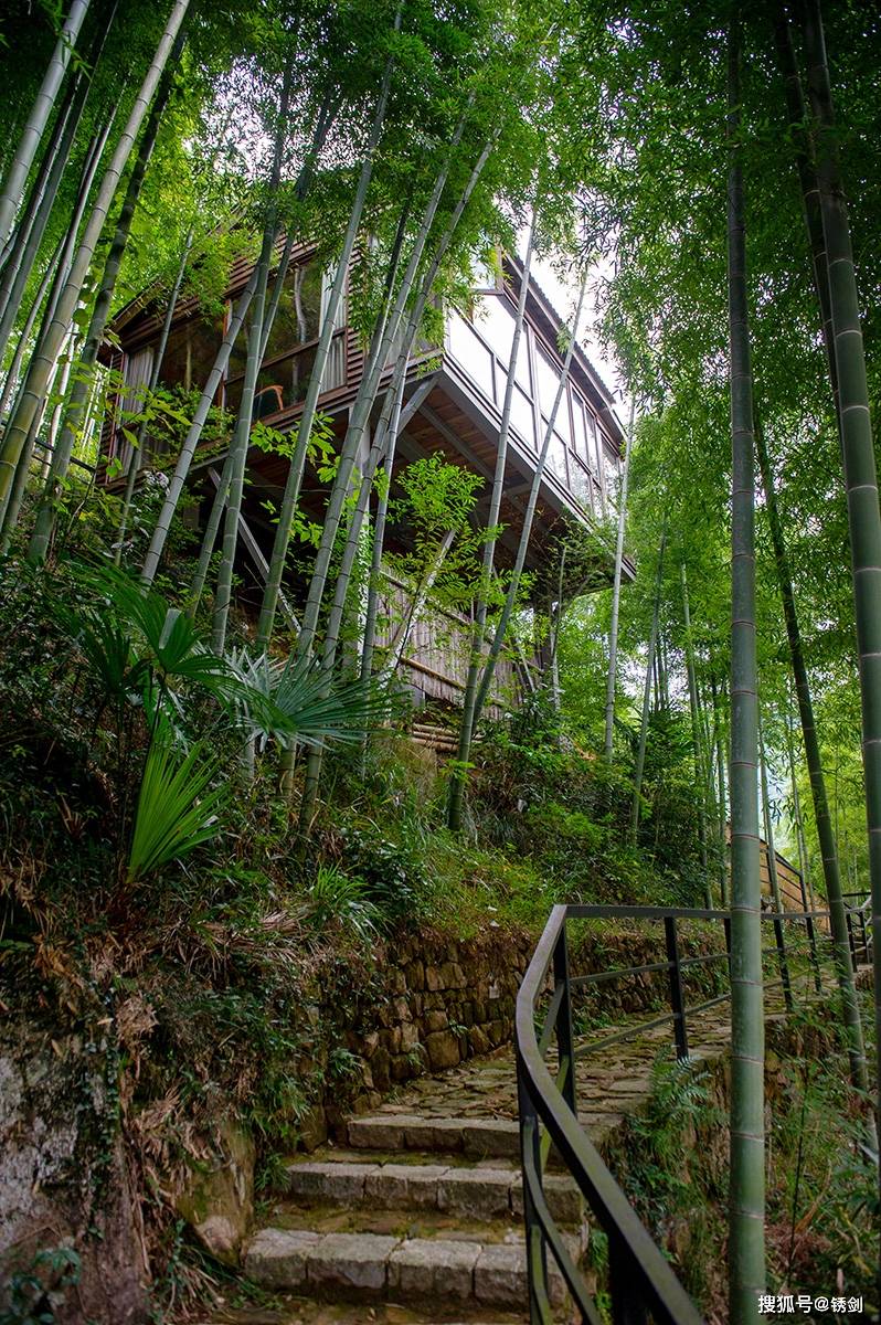 莫干山新玩法,豪华游艇畅游湿地公园,睡进竹林间的翠色山房