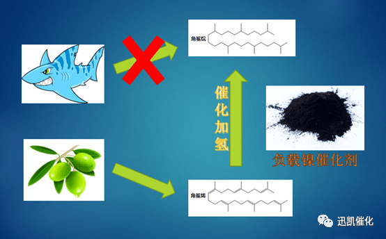 经验教程|负载镍催化剂的应用