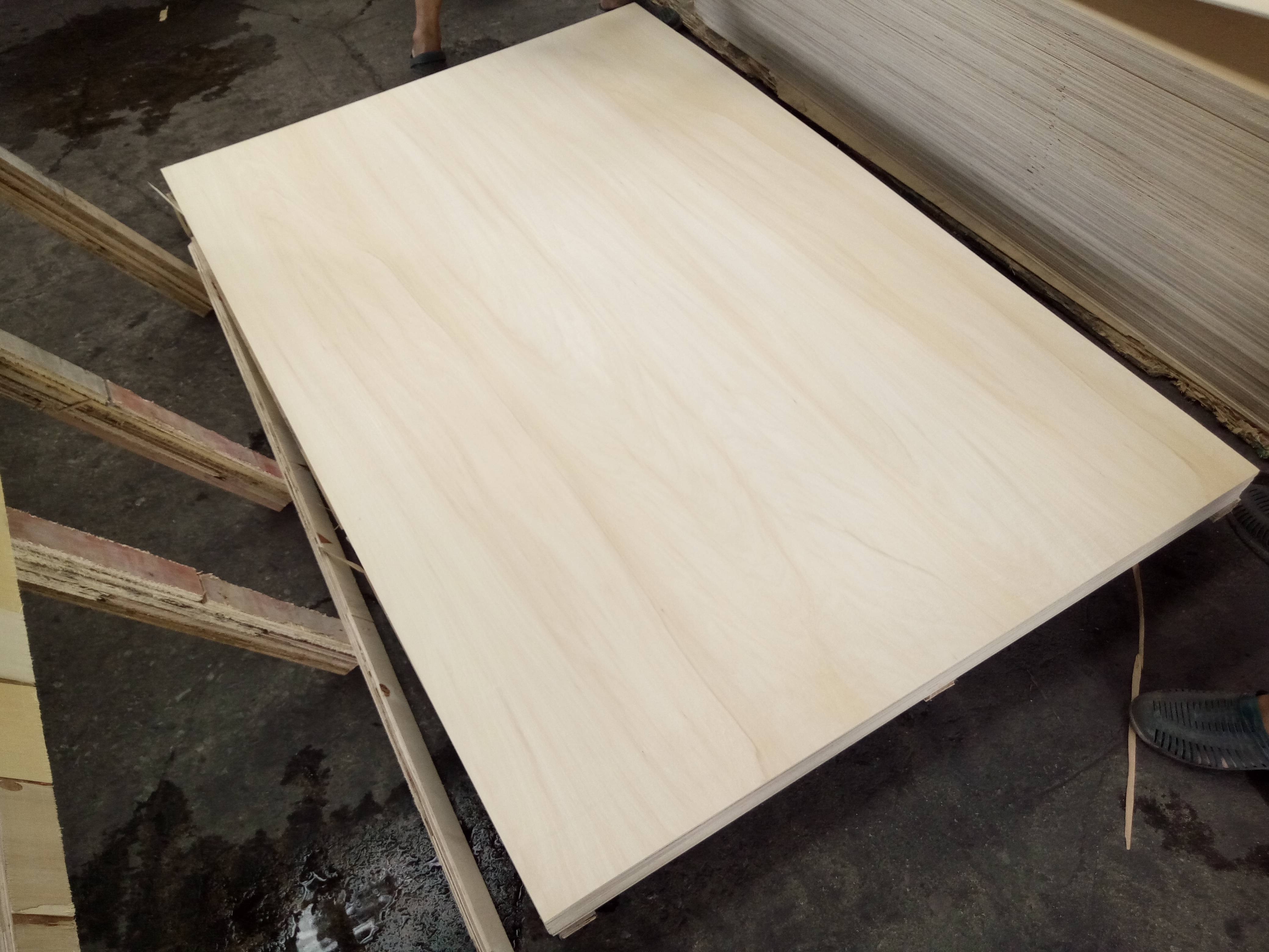 航空板的木质分类_桦木