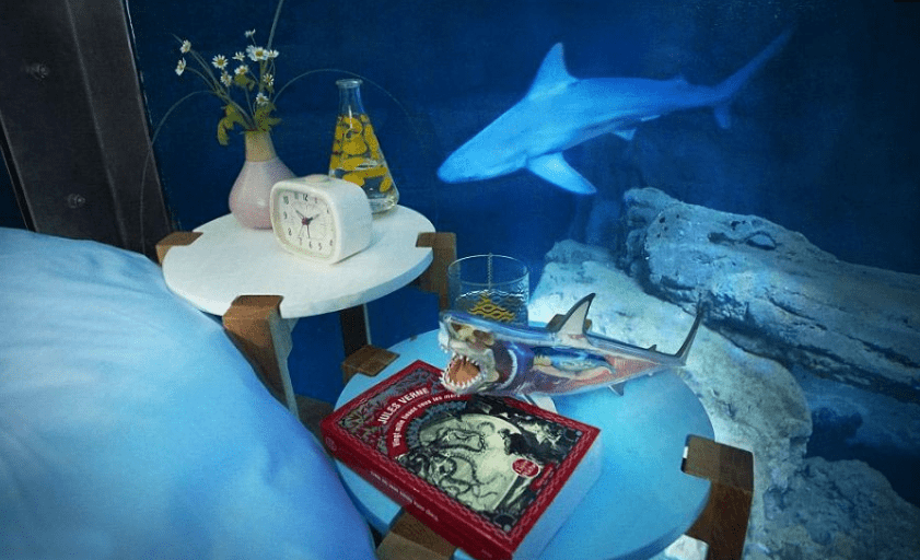 与鲨同眠国外一水族馆打造鲨池旅馆享受被鲨鱼包围入眠的快感