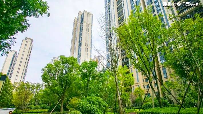 你认为赣州是否是一座宜居的城市