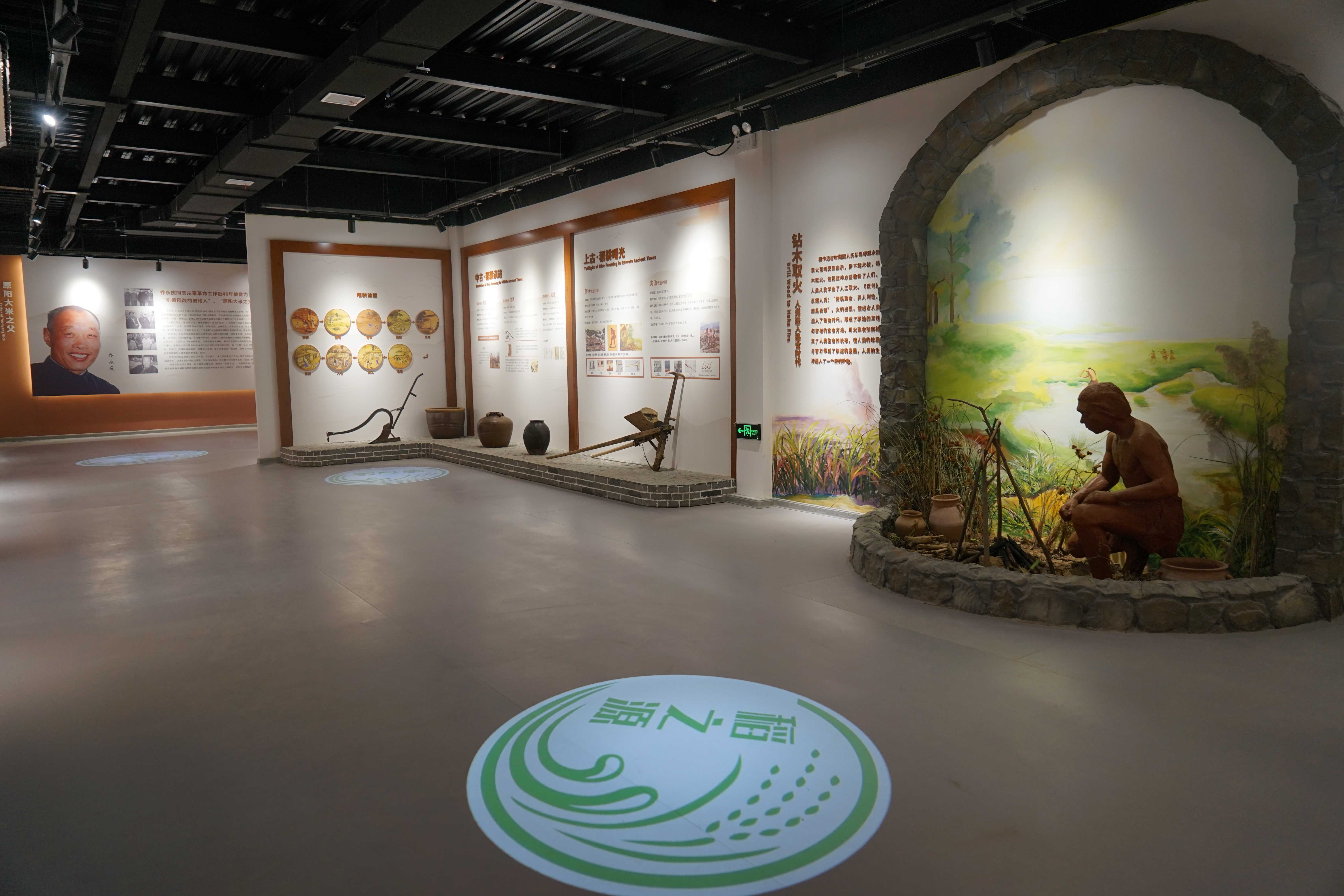 新乡平原示范区第三届稻米文化节成功举办