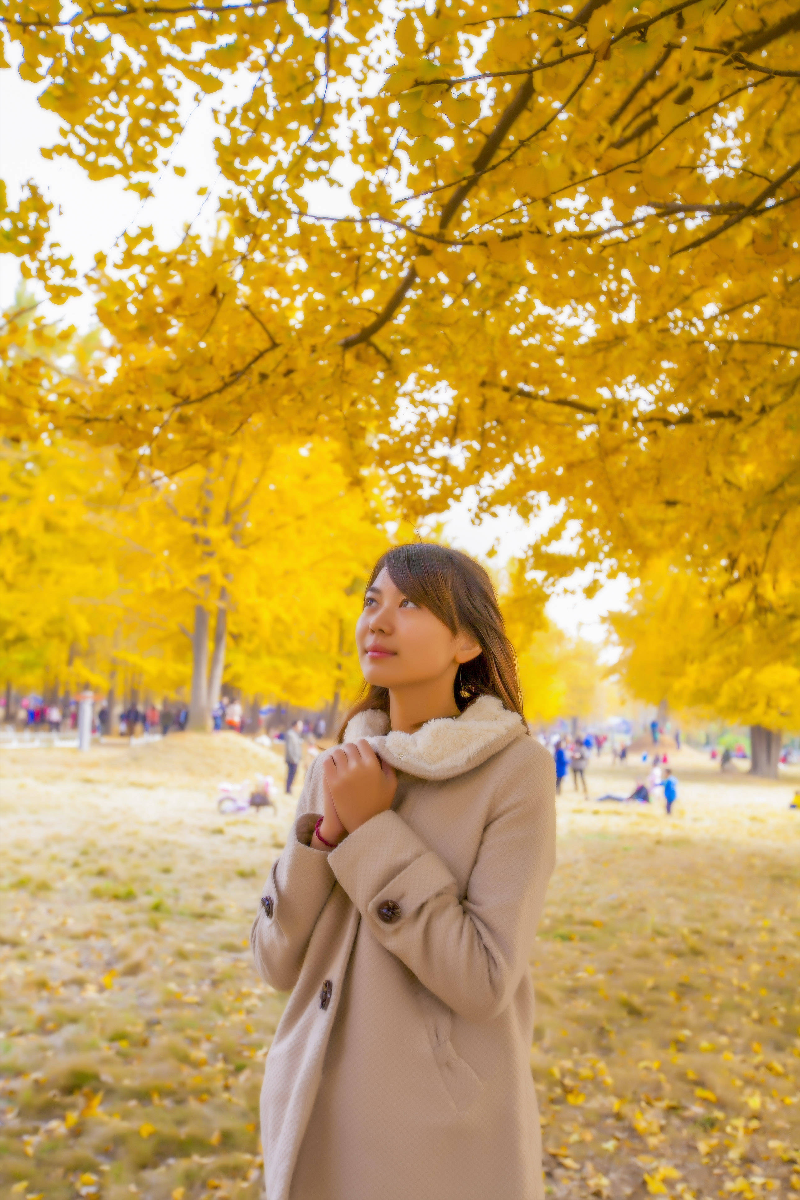 秋日的美好,银杏是主角!羲之故里美景美女,定格在黄色靓丽画卷