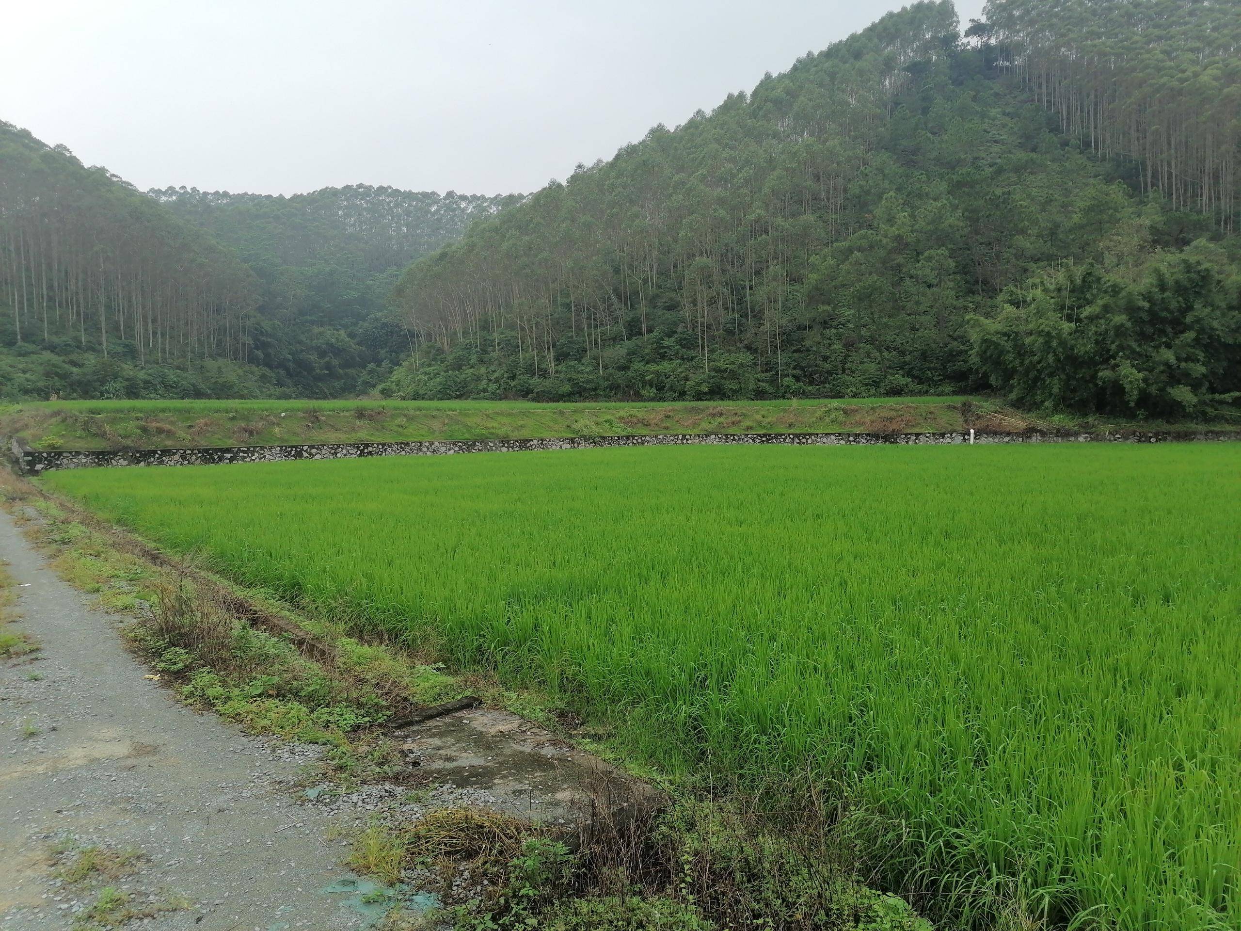 田占补平衡困局,坚决拥护国家落实最严格的耕地保护制度,激活农村"