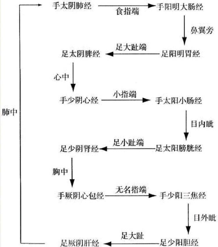 十二經脈是氣血運行的通道,氣血在十二經脈中按照固定順序循環流動