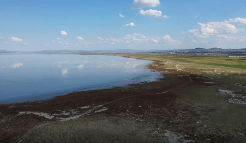 湖清水澈乐见其成——内蒙古黄旗海生态综合治理成效显著_手机搜狐网