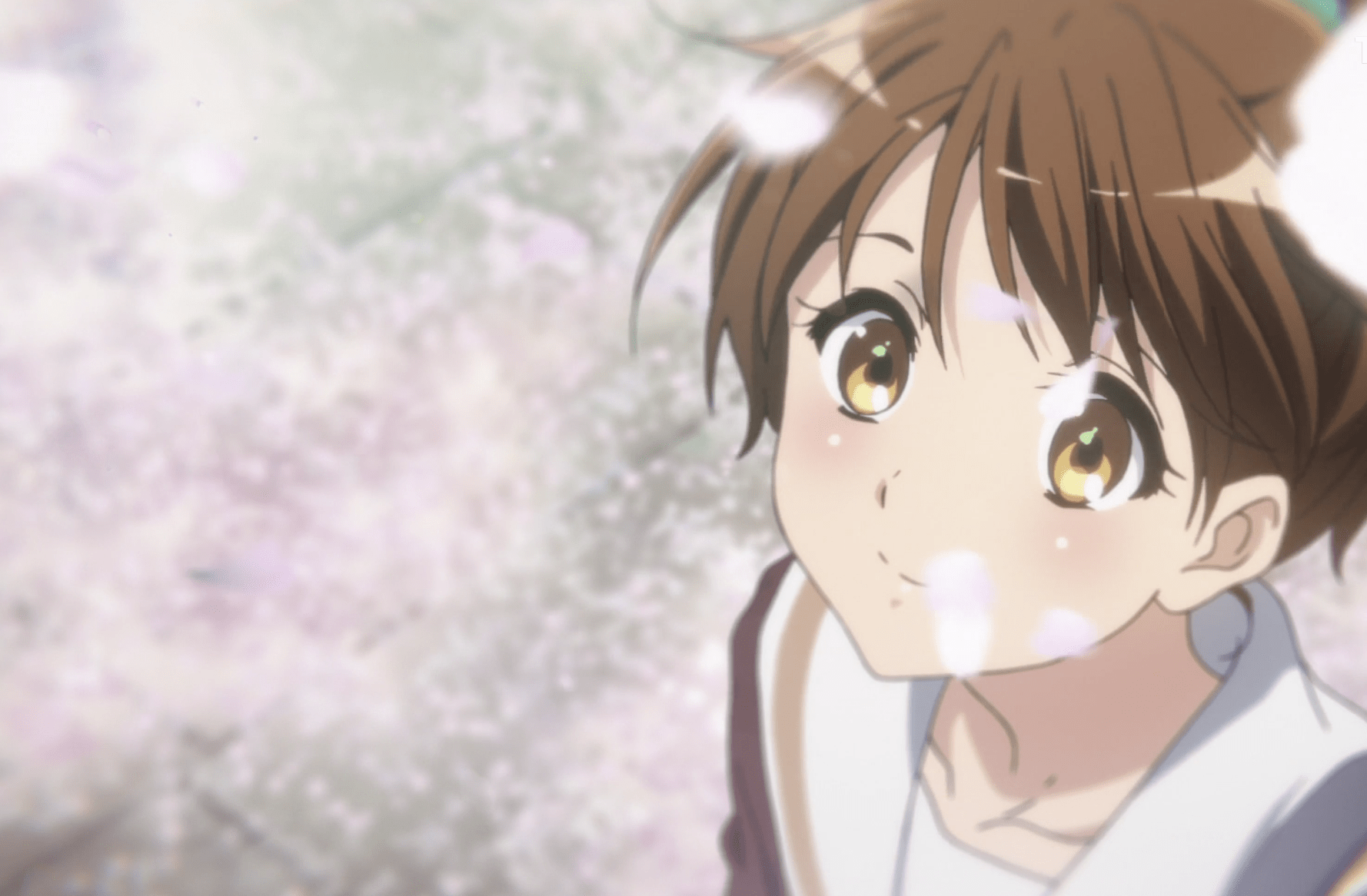 原创京阿尼的动画剧情不行我觉得你有什么误会