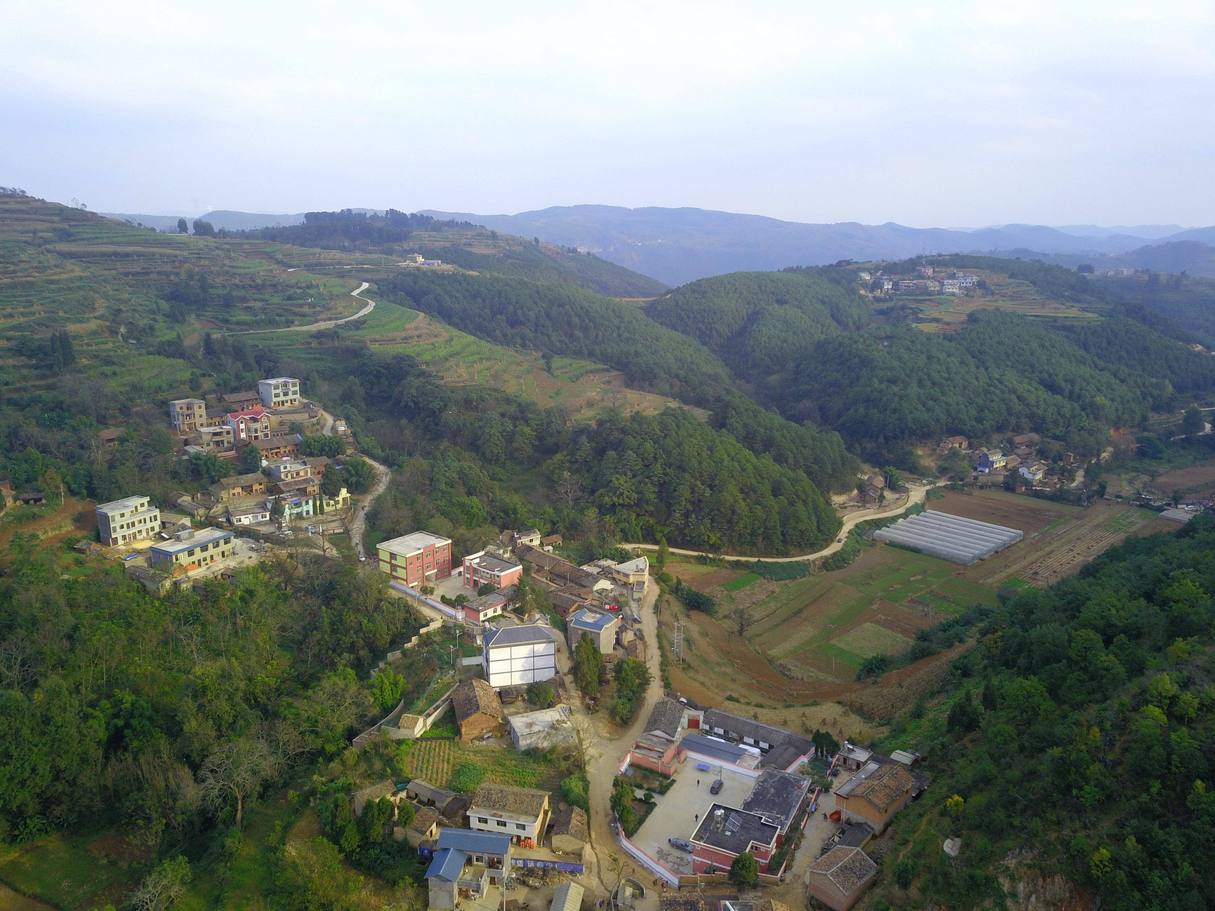 田坝乡田坝村图片图片