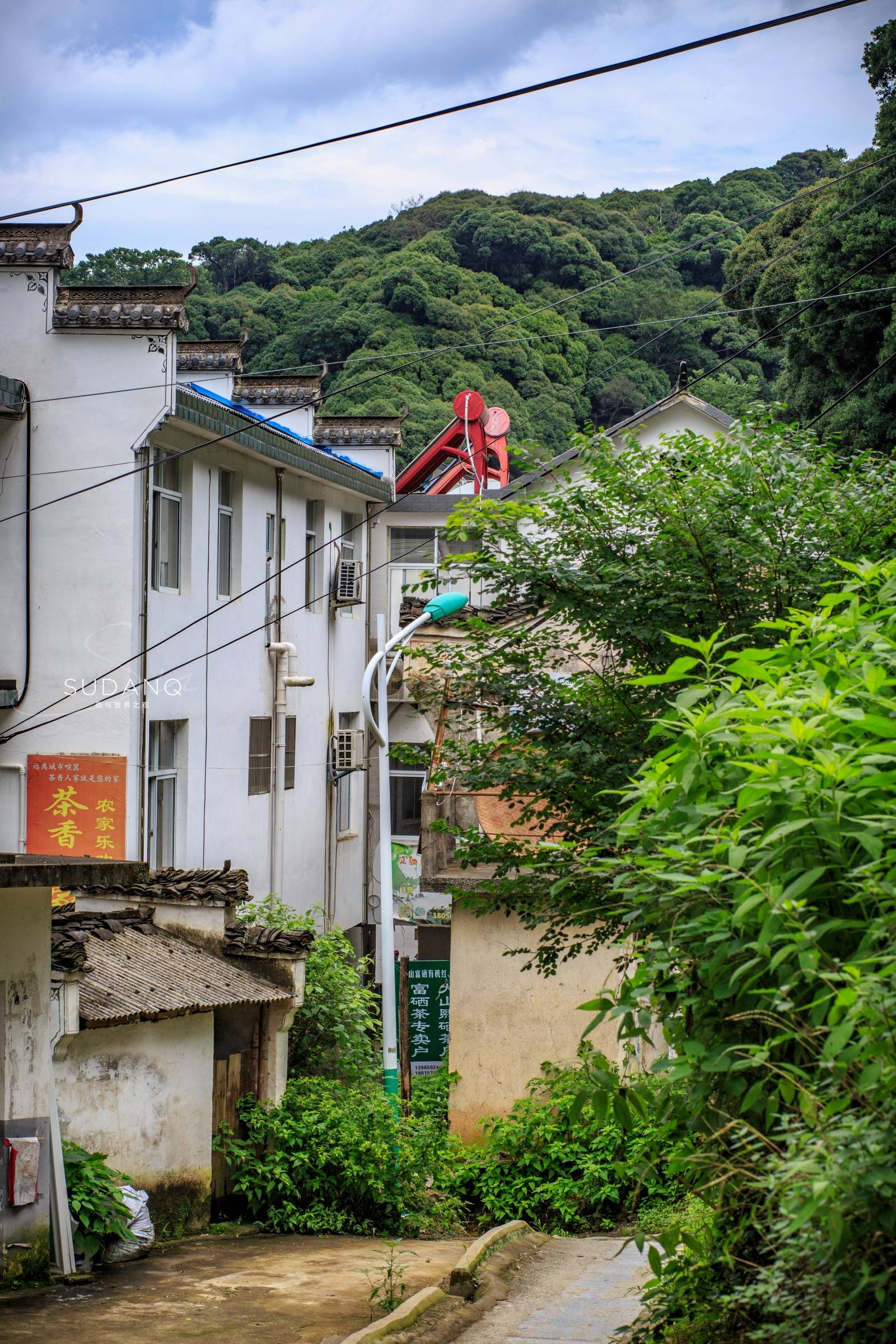 安徽这个长寿村,相传有"龙脉"庇佑,吸引了八方游客来此疗养