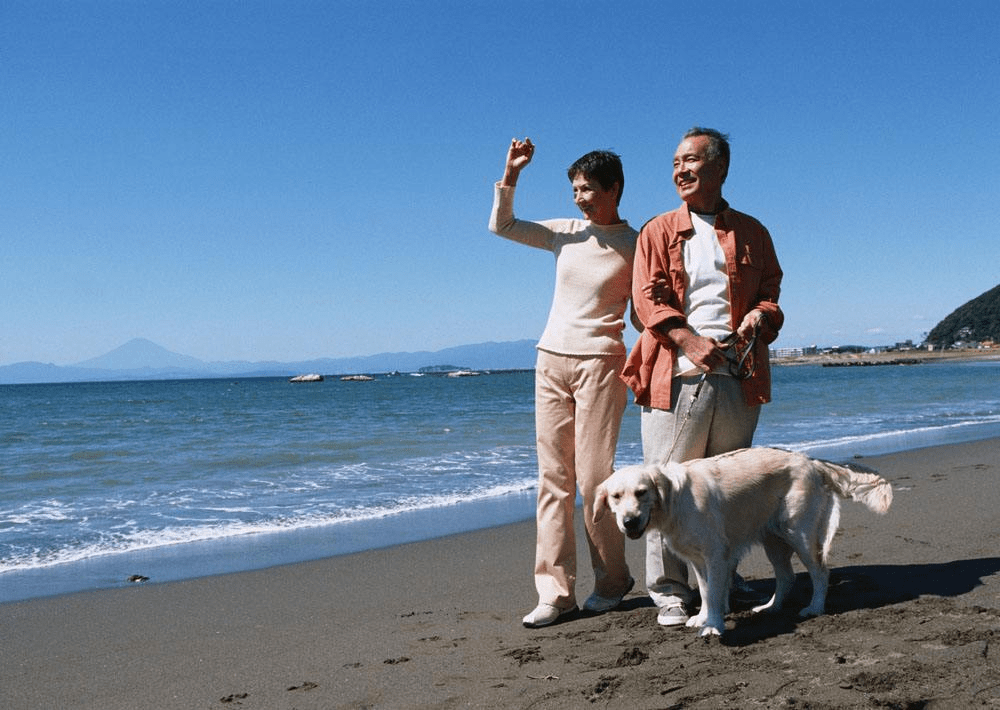 国内第一批丁克族如今已步入老年他们的人生还潇洒么