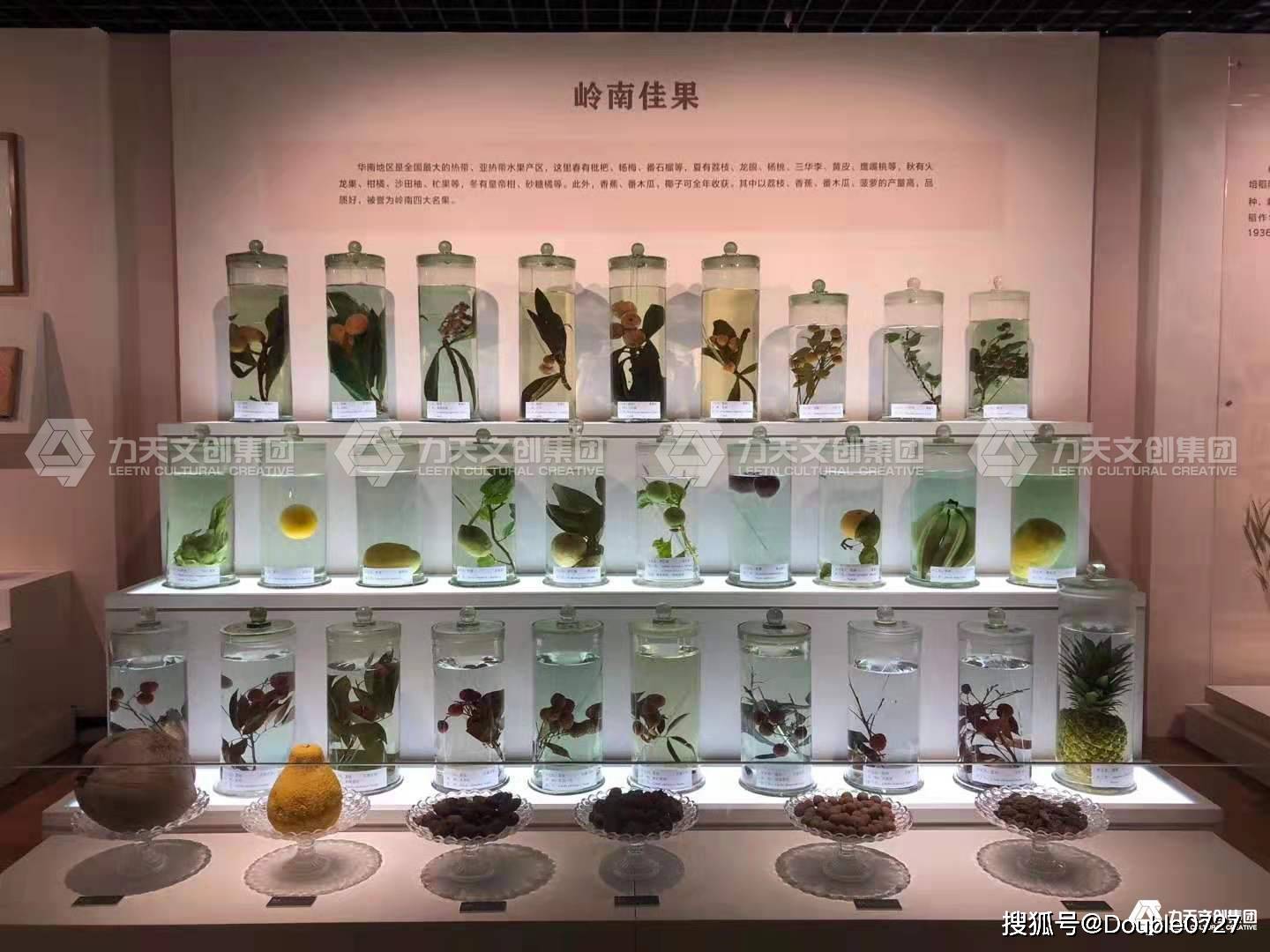 力天科普教育文化馆华南农业博物馆