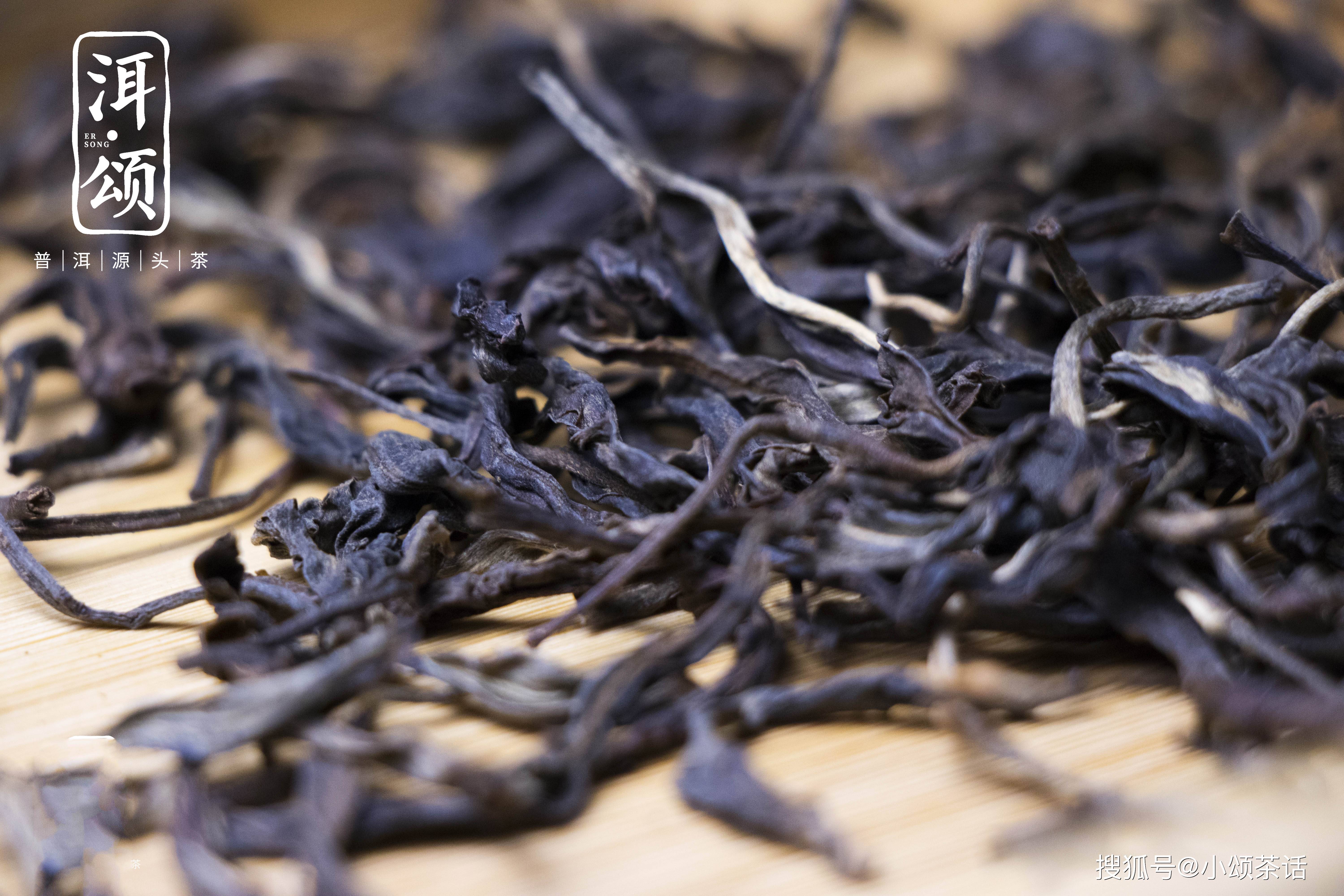 原来茶毫对于普洱茶的品质有这么大的影响!跟着洱颂来看看吧!