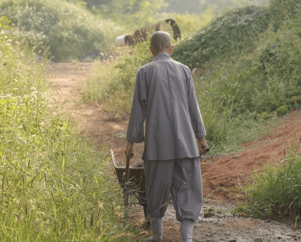 18岁豆蔻年纪自愿出家为尼姑,难道真的戒欲了?