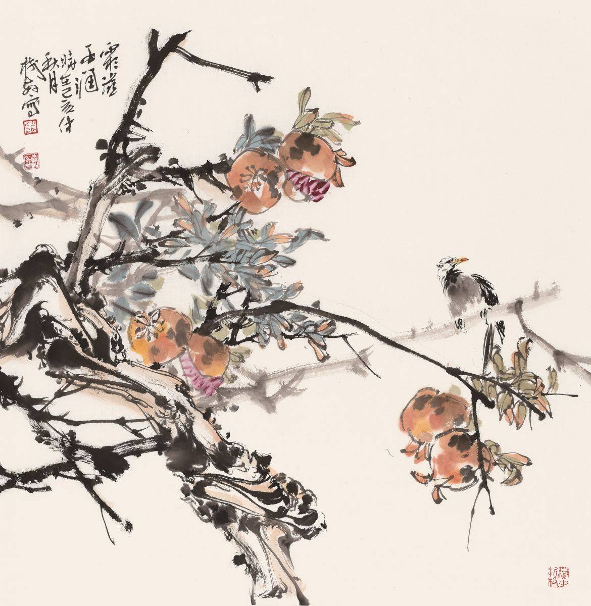 崔树轩左手石榴画欣赏-中国美术家协会会员