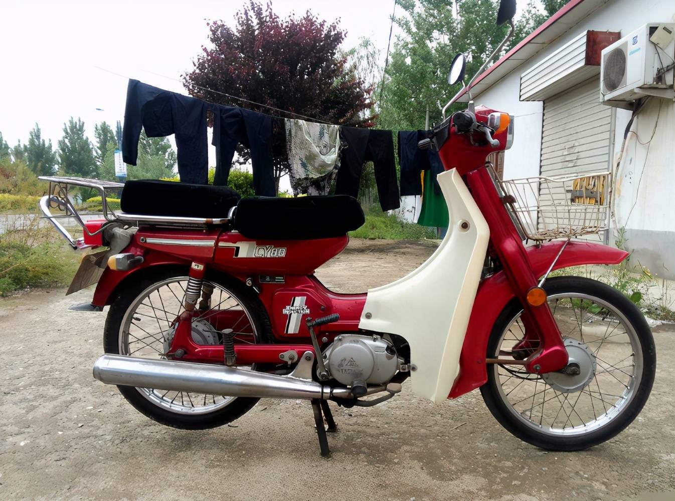 鲁摩友晒出96年买的雅马哈cy8010万公里还处在巅峰状态