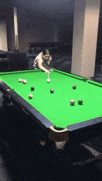 搞笑gif段子:这是再跳水吗?姿势真帅!真好玩!