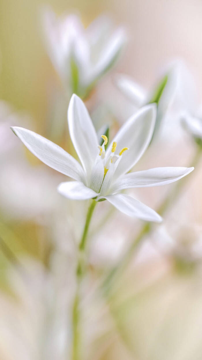 原创阳光向上的朋友圈文案励志唯美写在六月伊始