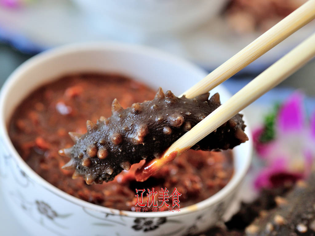 跟总厨一起去赶海,大连猪岛没有猪,只有海参和毛驴