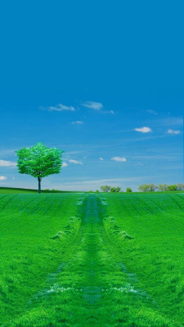 原创唯美入心的说说句子,气质超群,干净简短