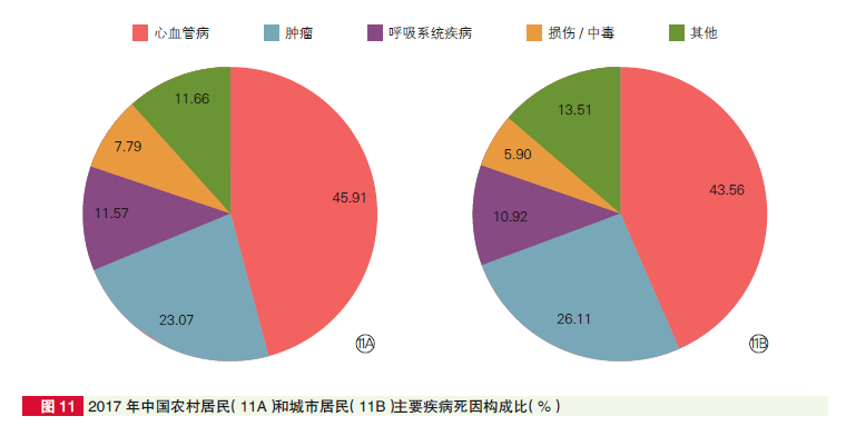 原创心血管病死亡率居首位预防心血管代谢性疾病的十二条饮食建议