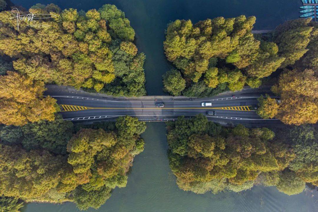 大疆mini2最详细测评之二变焦形同虚设微风下飞行平稳