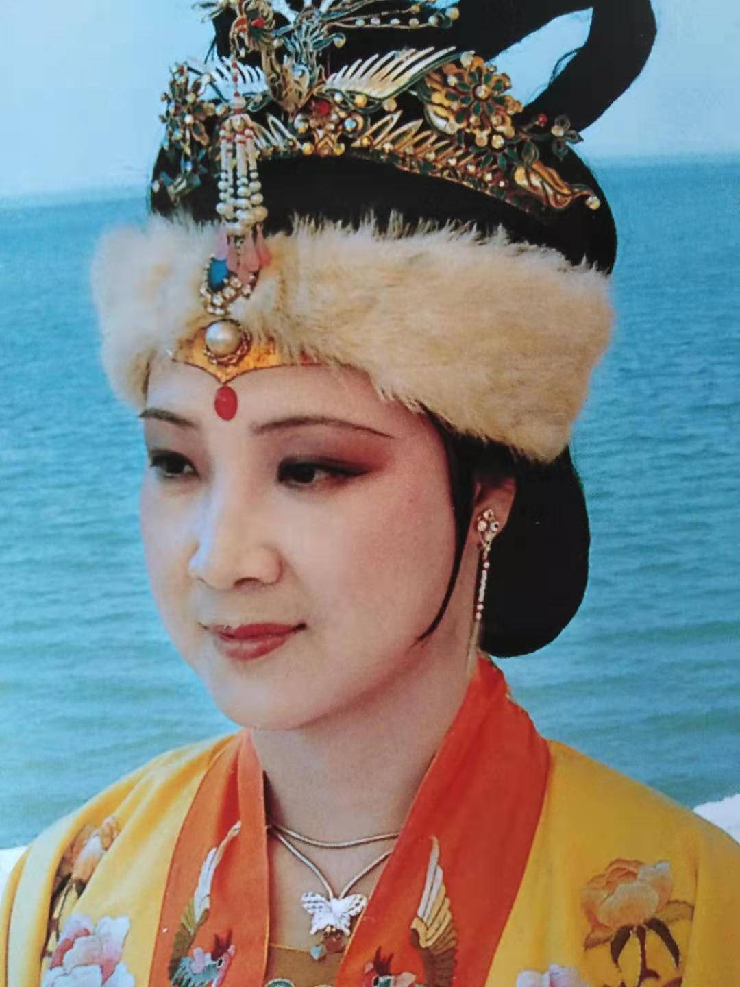 贾政想要利用女儿的婚姻攀附权贵,而是代替南安太妃的女儿远嫁和亲,换