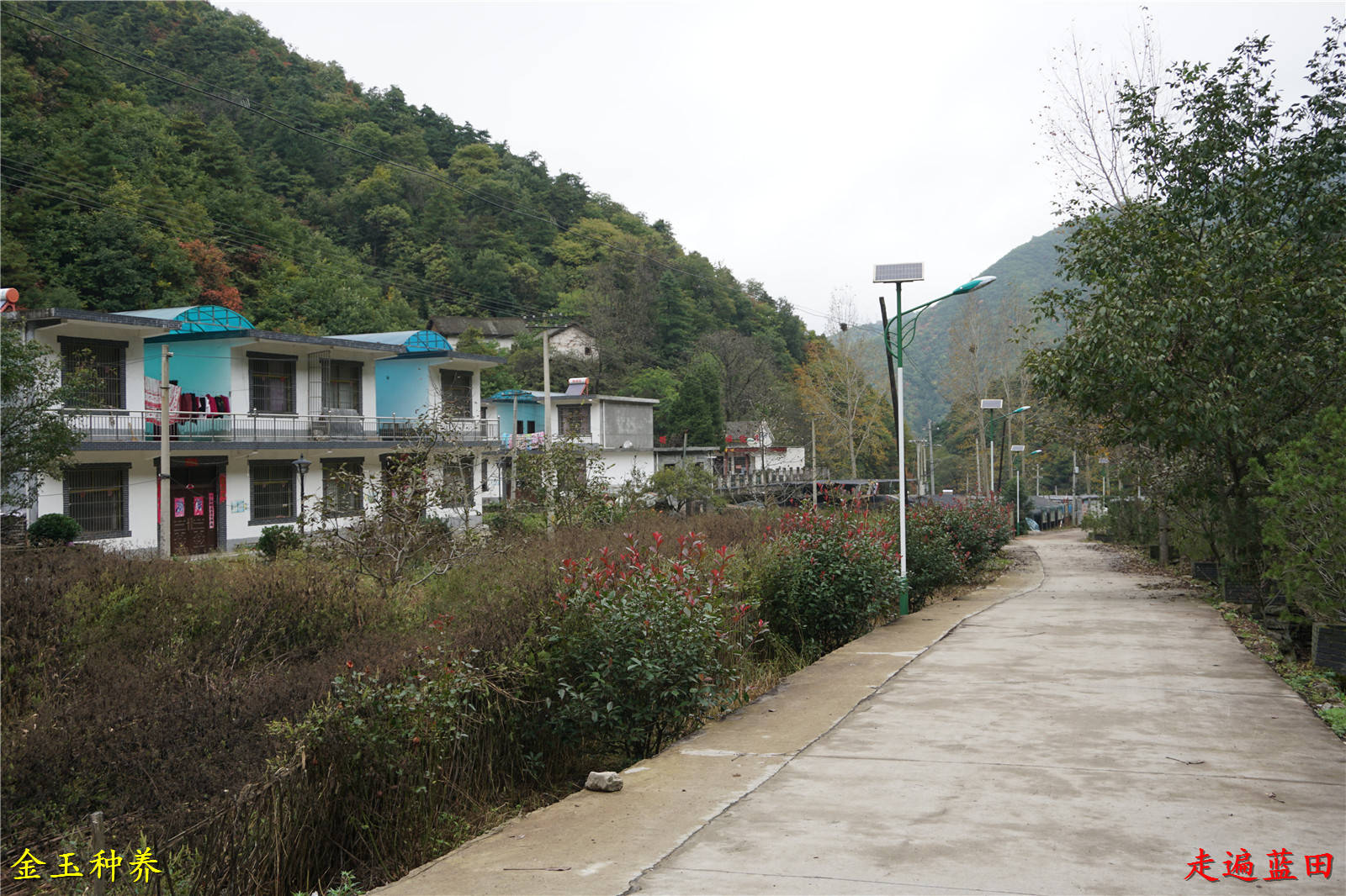 走遍蓝田,2020辋川镇(狮子沟村)穿越旅行(2)