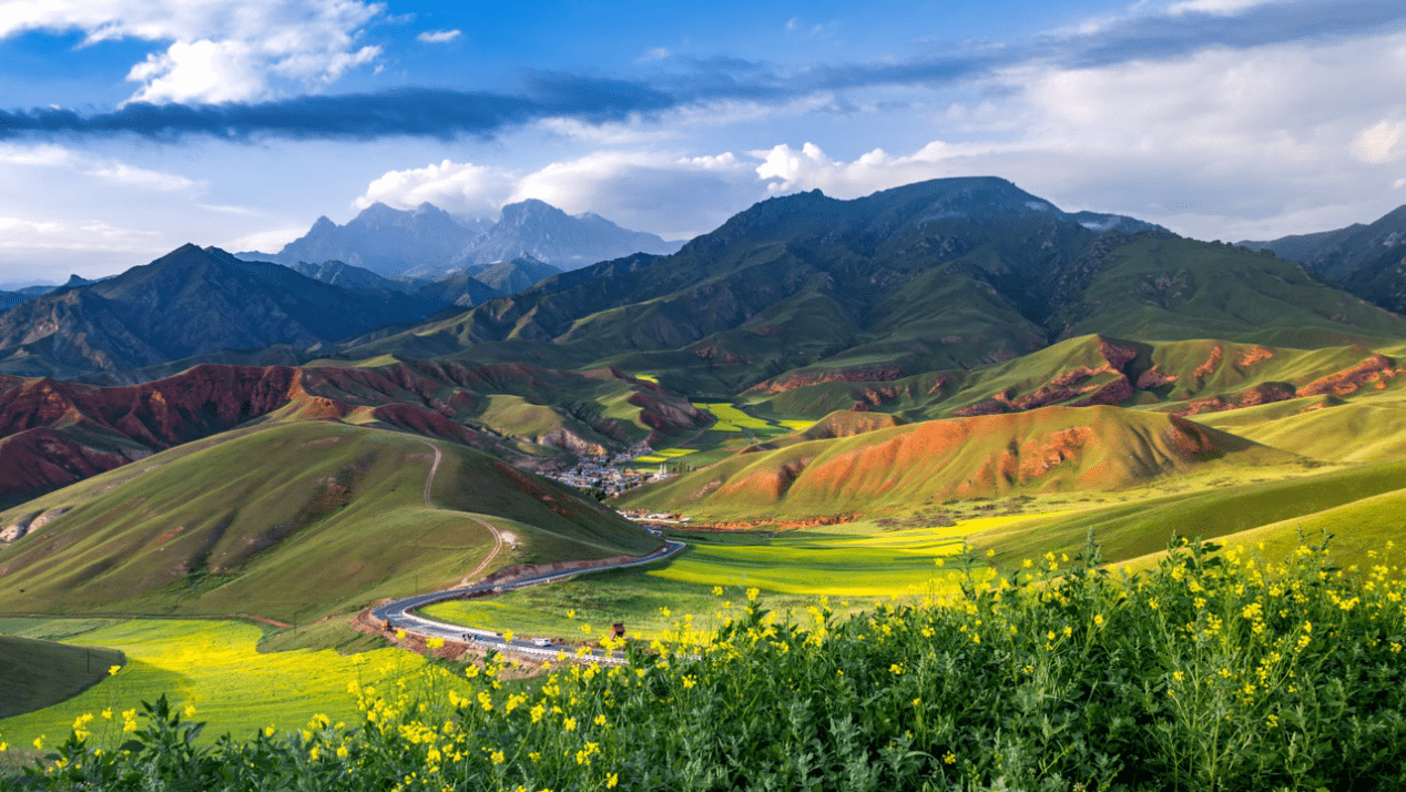 原创草原上为什么不长树