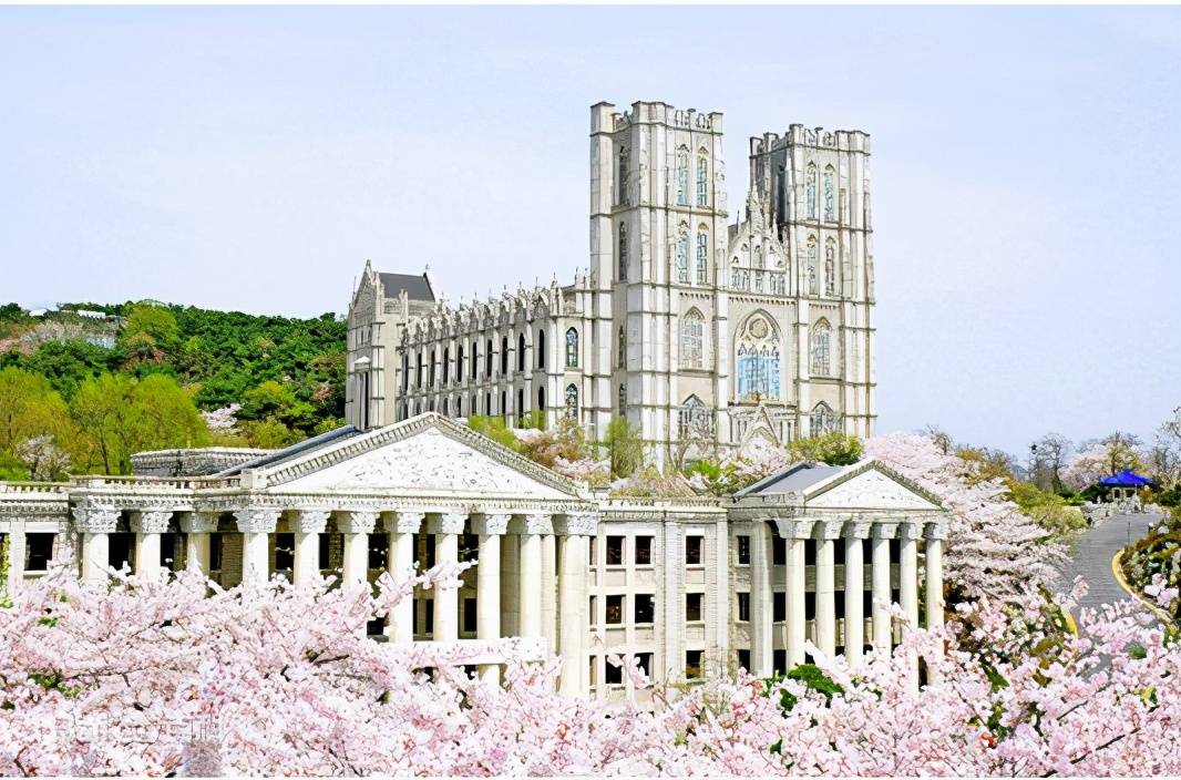 韩国拿撒勒大学图片