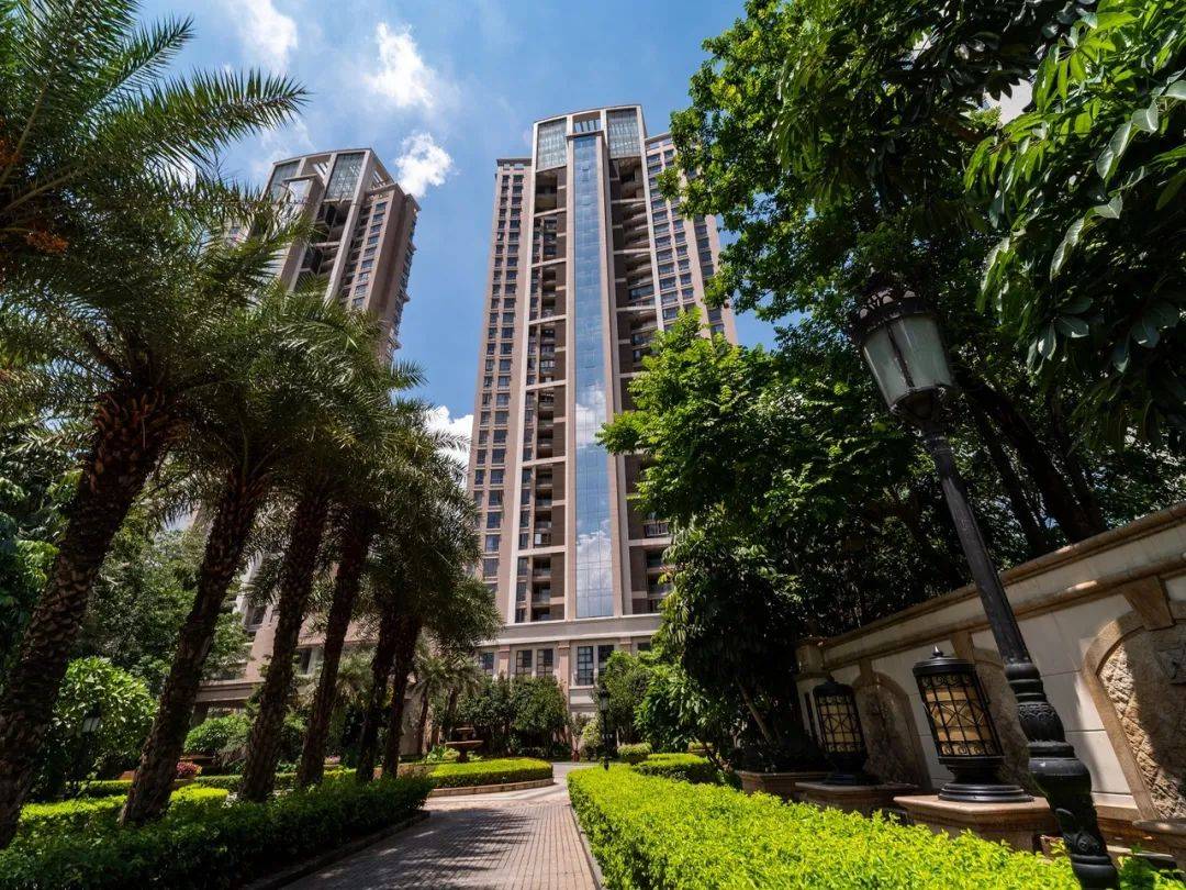 让我们一探究竟家的样子