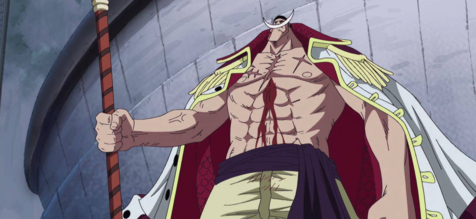 白胡子临死前提到了大秘宝,为何佛之战国被吓得脸发青?