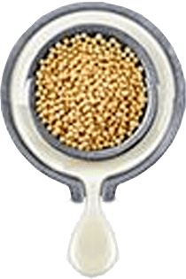 专稿|益佳豆品豆腐坊:一豆可知天下味｜国际素食日专稿